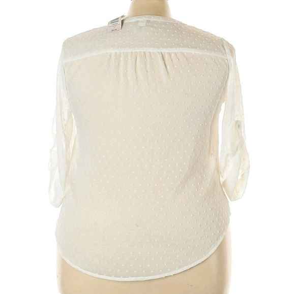 Torrid 3/4 Sleeve - Picture 2 of 2